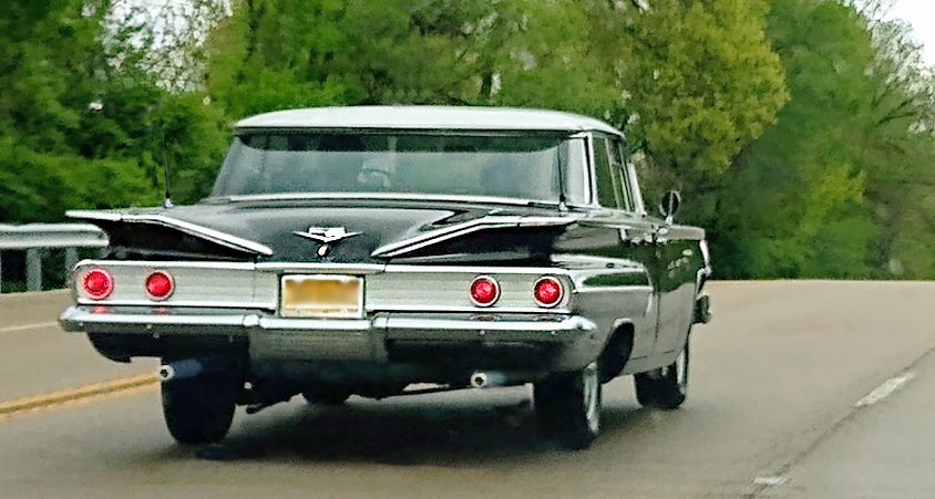 The fins tipped me off, but I still had some questions.